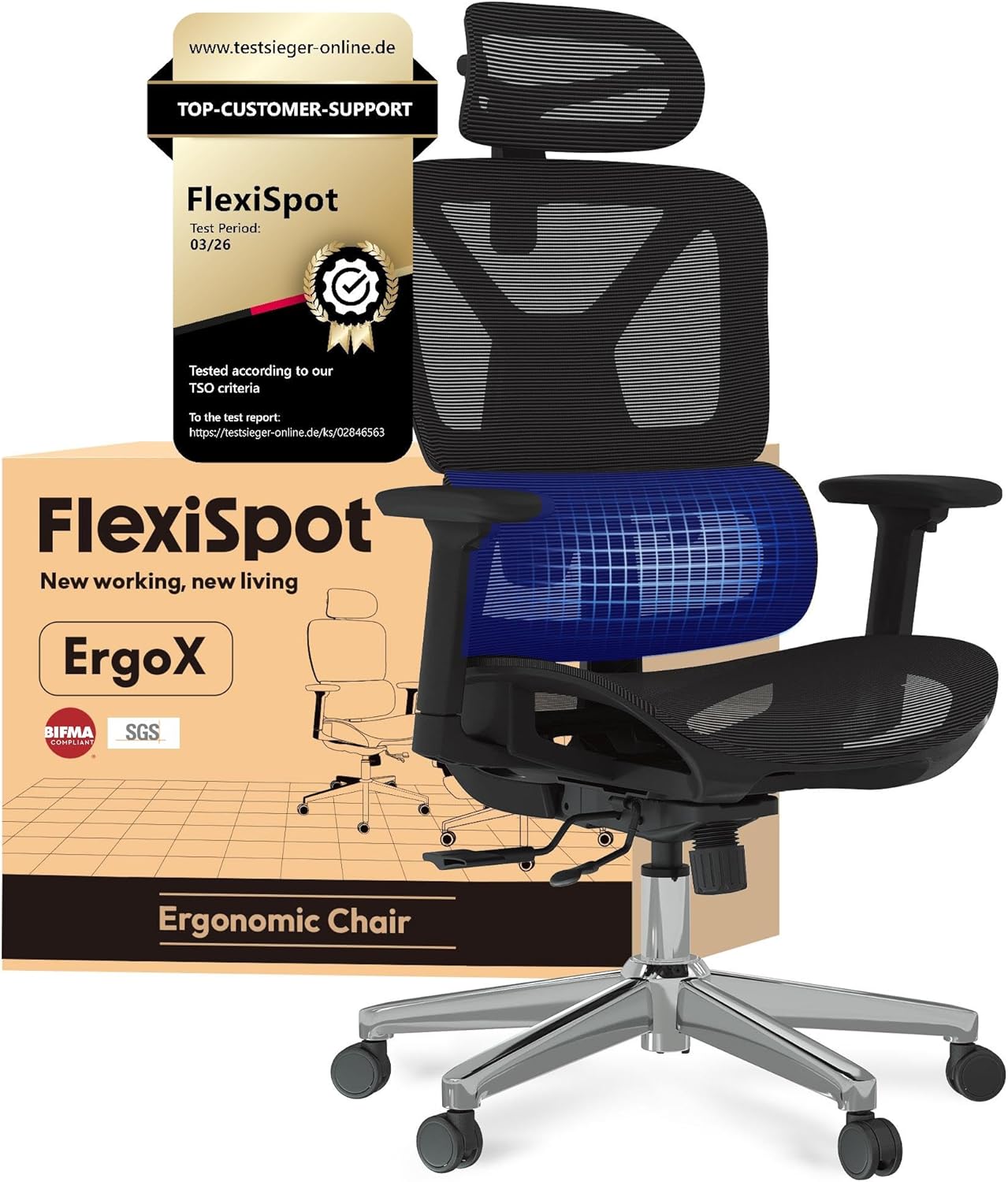 FlexiSpot ErgoX Lite